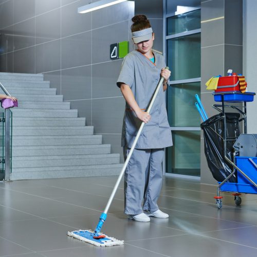 almaz_cleaning_04